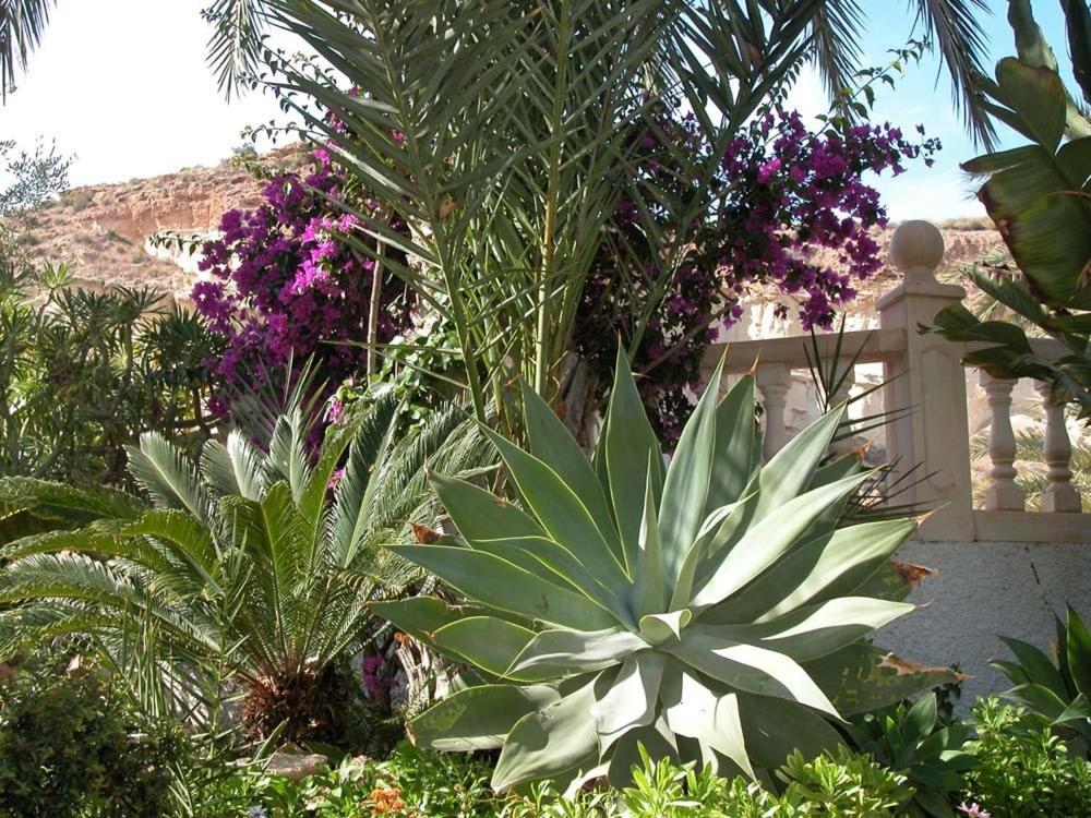 Apartamentos Oasis De Las Palmeras Больнуэво Экстерьер фото